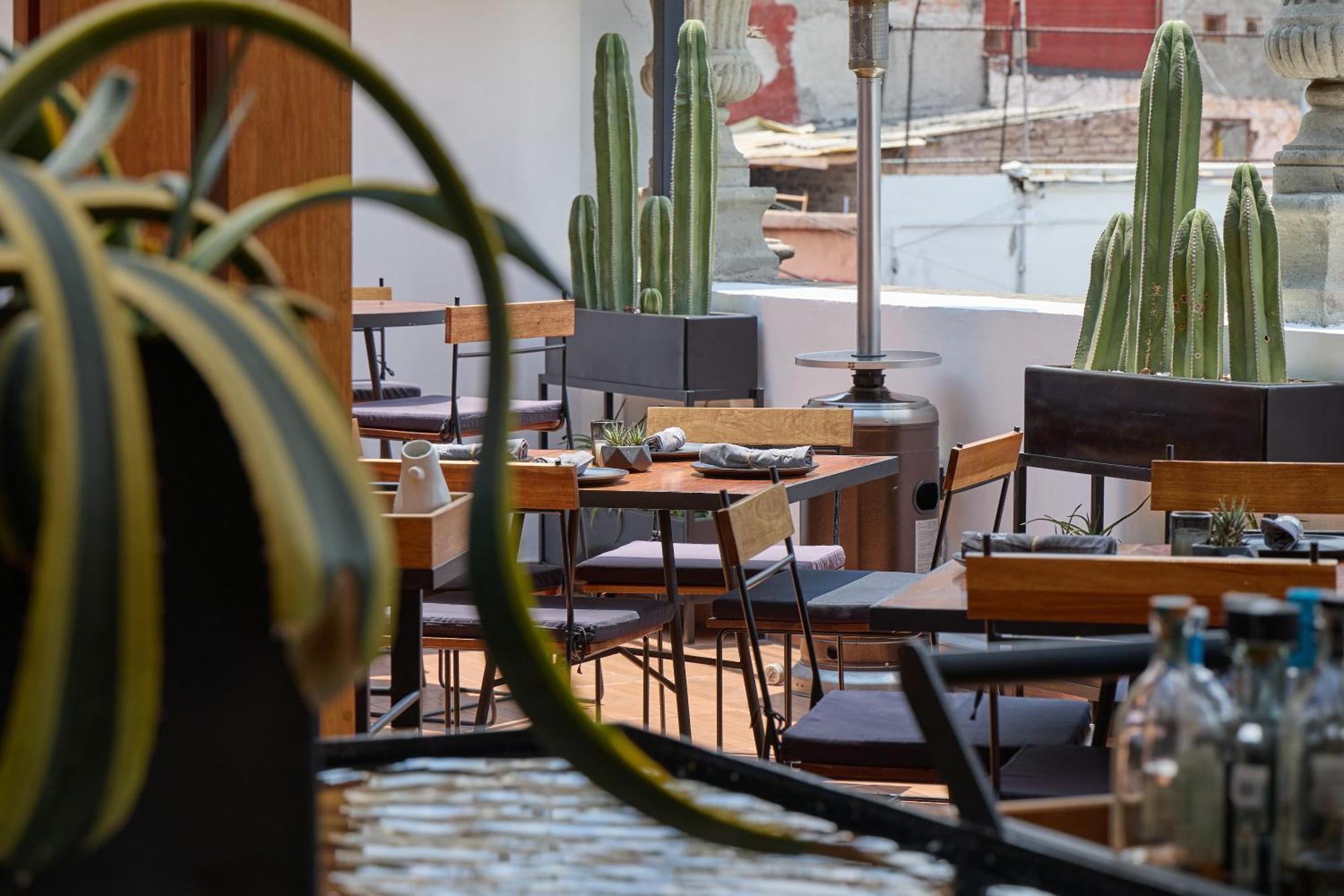Casa De La Luz Hotel Boutique Мехико Экстерьер фото